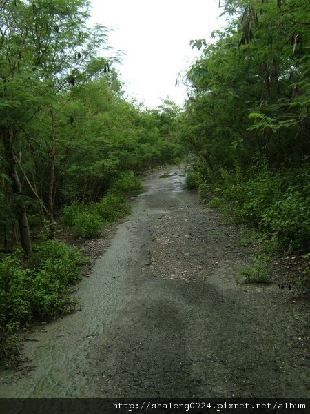 DSCF1998.JPG