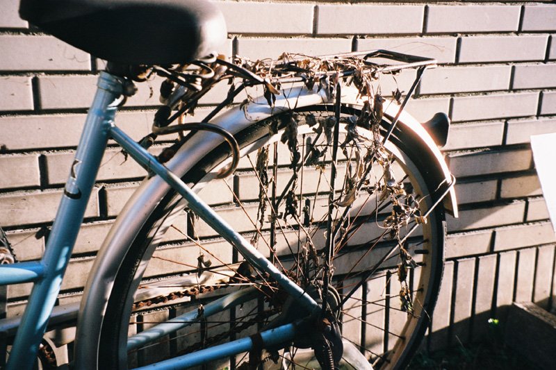 F1010033.JPG