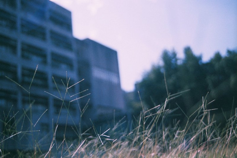 F1000018 NIKON FM2 X KONICA CENTRIA 100.JPG