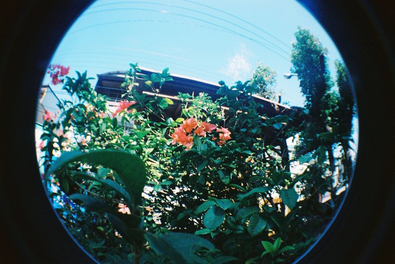 F1000032 Lomo Fisheye II X Fujifilm X-TRA 400