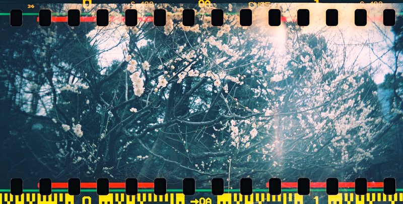 000001 Lomo Sprocket Rocket X Fujifilm X-TRA 400