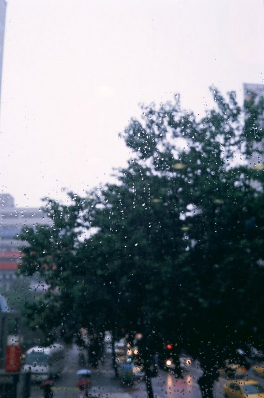 87570018 OLYMPUS 35DC X KODAK E200.JPG