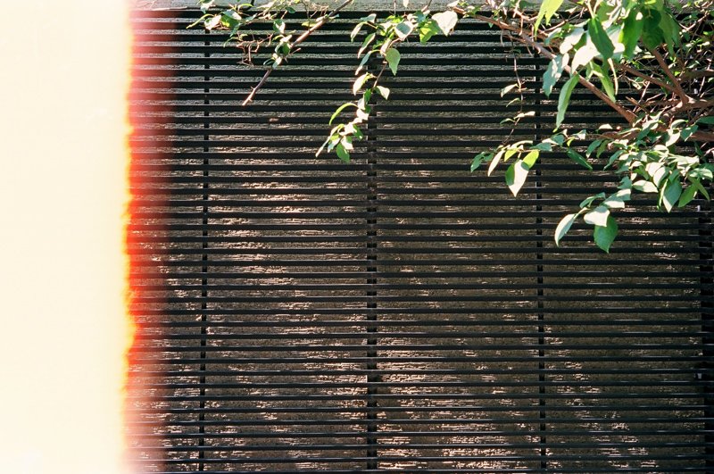 87570001 35DC X KODAK E200.JPG