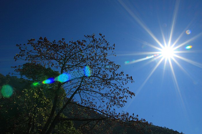 _MG_3758.JPG