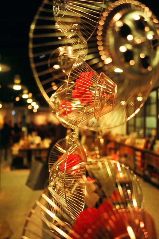 47180015 1105S_Ricoh GR1V x Fujichrome Sensia 100.JPG