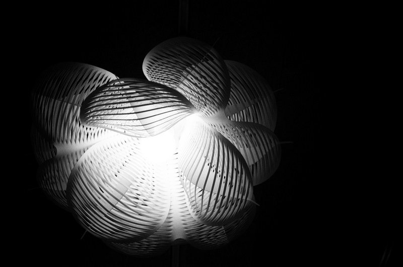 66150028 35DC X KODAK TMAX 400.jpg