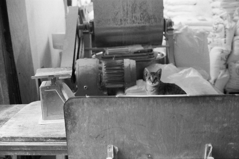 66150011 35DC X KODAK TMAX 400.jpg