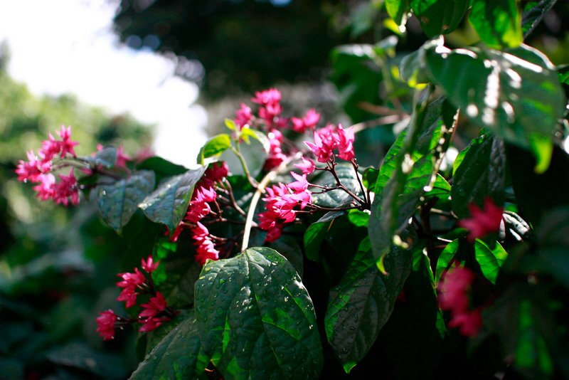 _MG_6873.JPG