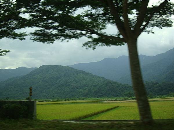 20140628花東四日遊 262