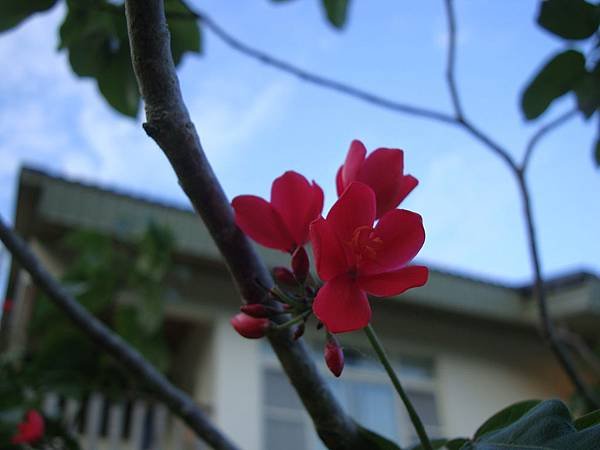 20140628花東四日遊 389