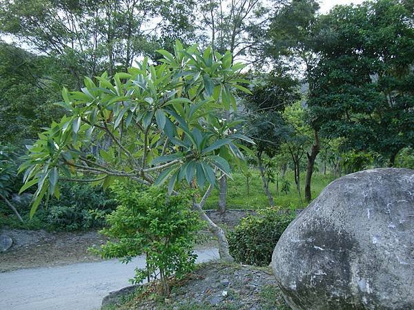 20140628花東四日遊 386