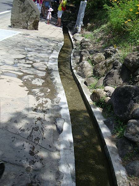 20140628花東四日遊 617