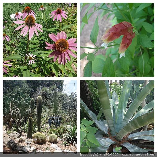 DSC00124_Fotor_Collage.jpg