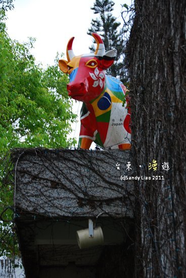 07.jpg