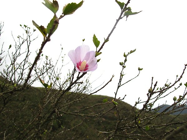 IMG_5809.JPG