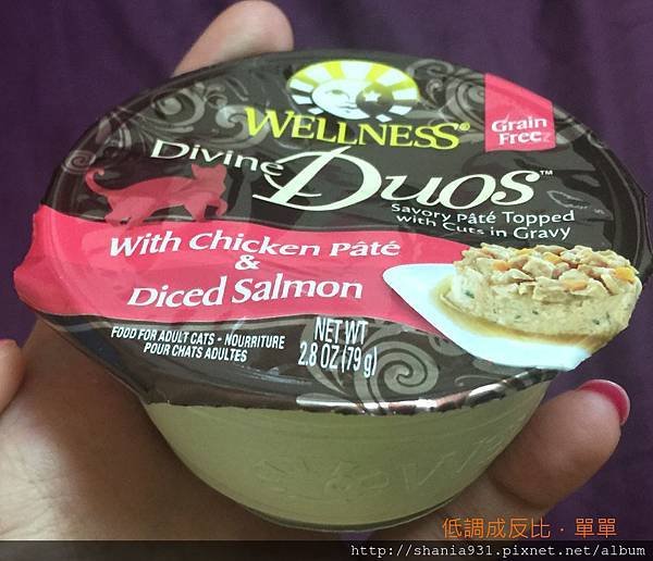 wellness diving duos雞鮭7