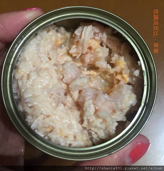 義士大廚雞肉起司4