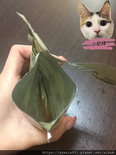 james wellbeloved 幼貓火雞5.jpg