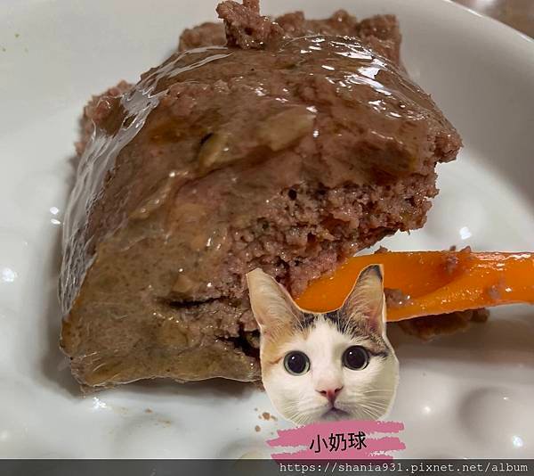 健康主義負鼠雞肉5.jpg