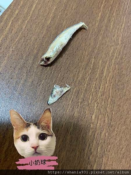 卡尼零食魚5.jpg