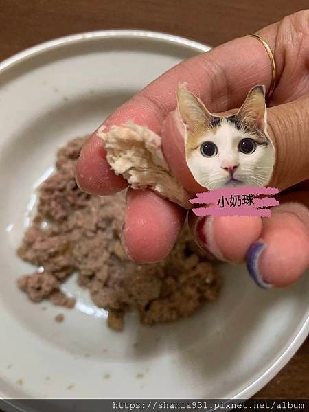 卡尼零食5.jpg