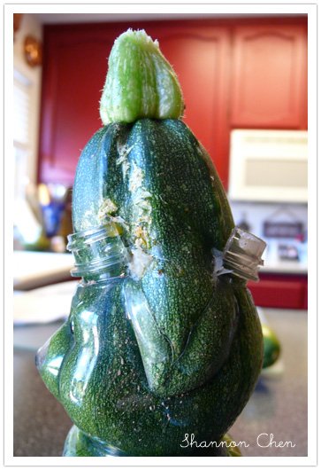 Bear Zucchini