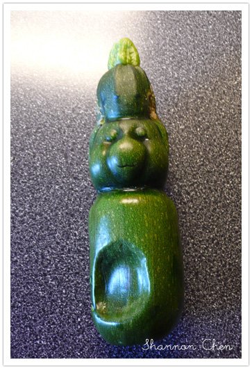 Bear Zucchini