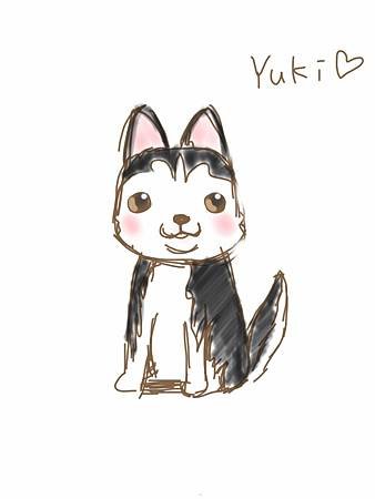 Yuki