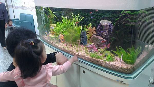 寶妞03-22-14(1).jpg
