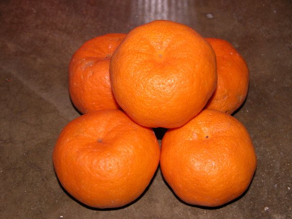 DSCN6525.JPG