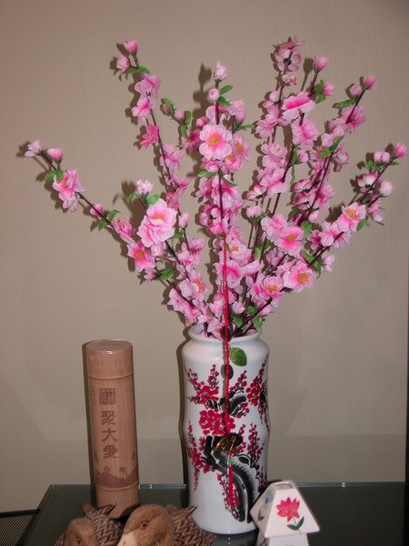DSCN6545.JPG