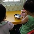 IMG_4052