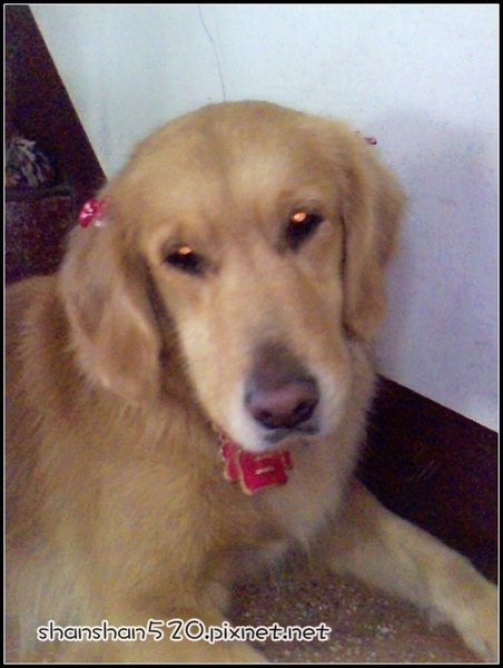 IMG0021A.jpg