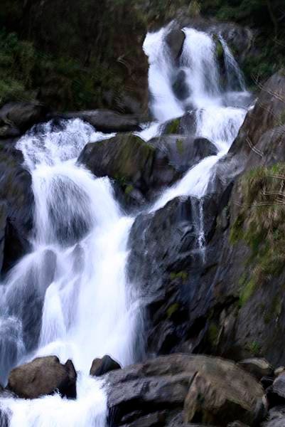 _MG_4677.JPG