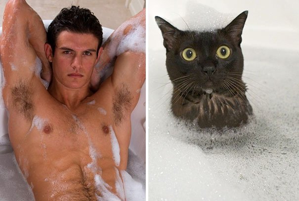 des-hommes-et-des-chatons-men-and-cats-34