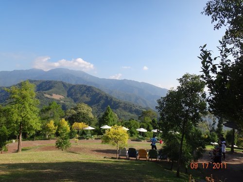 綠光森林015.jpg