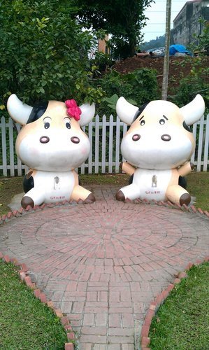 IMAG0189.jpg