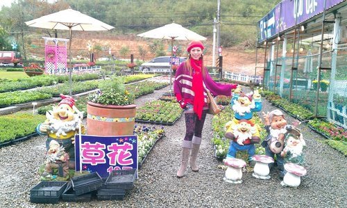 IMAG0248.jpg