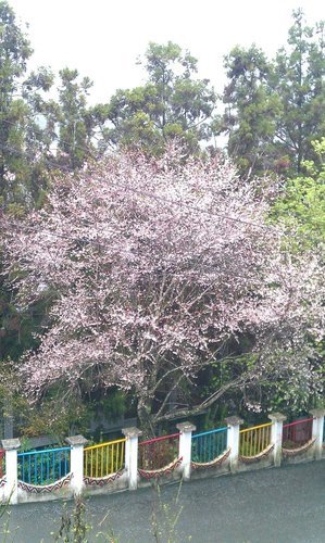 IMAG0277.jpg