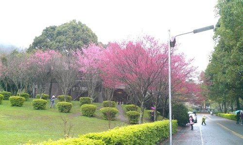 IMAG0279.jpg