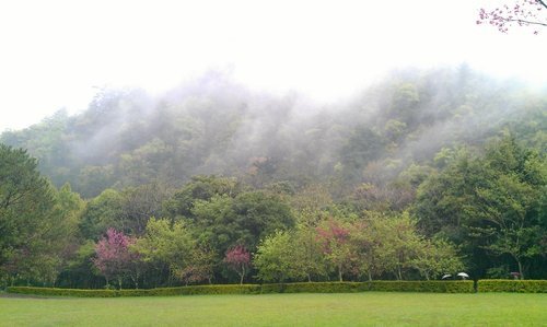 IMAG0281.jpg