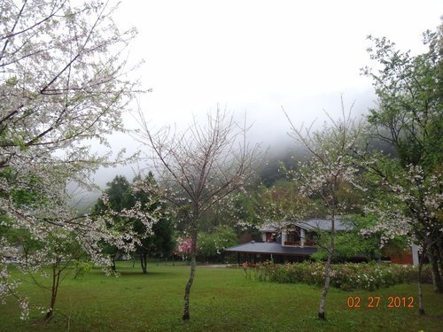 DSC03843.JPG