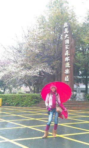 IMAG0290.jpg