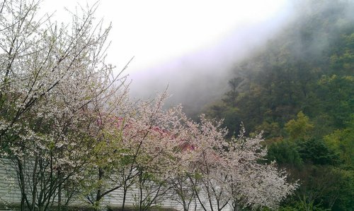 IMAG0298.jpg