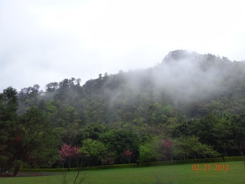 DSC03876.JPG
