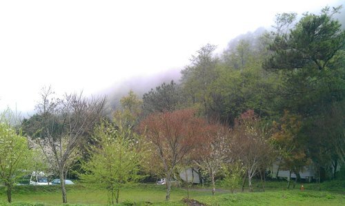 IMAG0300.jpg