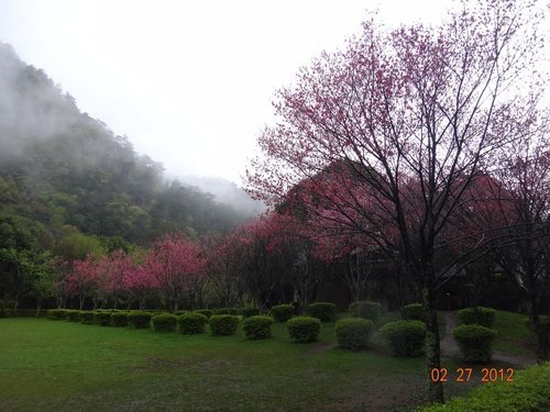 DSC03875.JPG