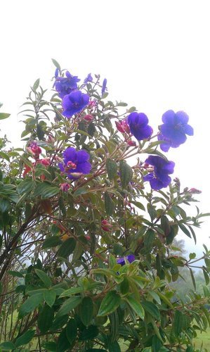 IMAG0305.jpg