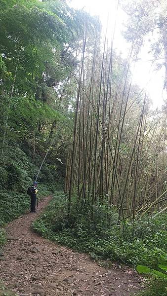 20221030阿里山大凍山步道⛰💪🙆_221031_5.jpg