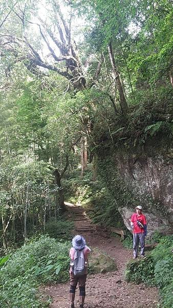 20221030阿里山大凍山步道⛰💪🙆_221031_3.jpg